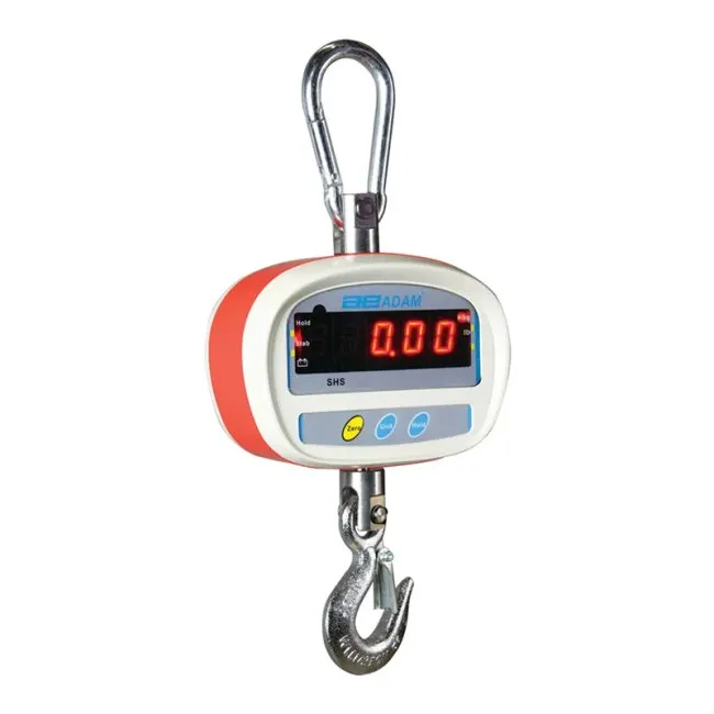 Crane Scale - 300kg, 0.05kg