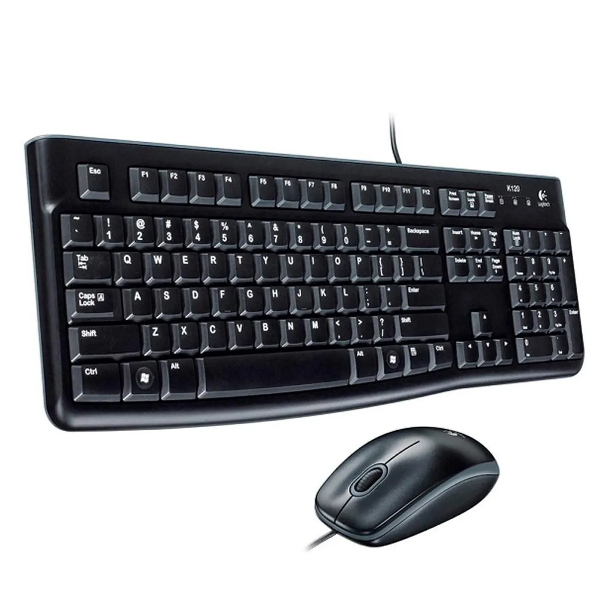 Logitech Desktop MK120 Mouse and keyboard Combo